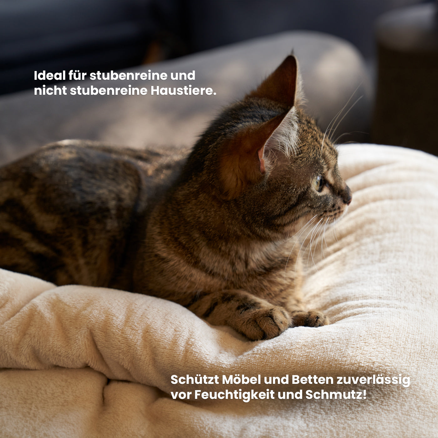 Amore - Die Wasserdichte Decke